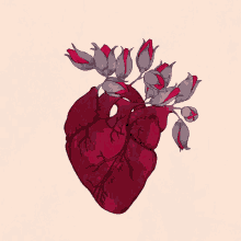 roses heartbeat