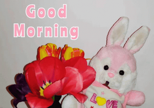 Mornin Dobro GIF - Mornin Dobro Jutro - Discover & Share GIFs