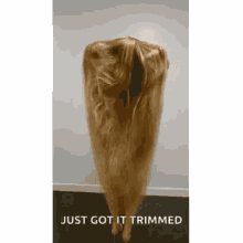 long hair rapunzel hair dlugiewlosy roszpunka lange haare long hair rapunzel hair dlugiewlosy roszpunka lange haare