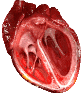 Love Bleed Sticker - Love Bleed Heart Stickers