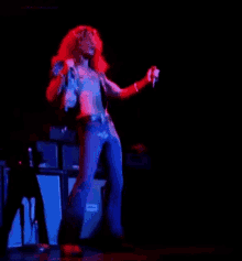 Led Zeppelin Cowboy GIF - Led Zeppelin Cowboy Robert Plant GIFs