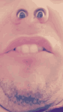 le beau moune le beau moune