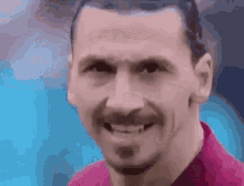 Zlatan Ibrahimović Zlatan GIF - Zlatan Ibrahimović Zlatan Football Player GIFs