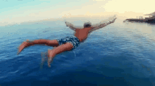 Fall Jump GIF - Fall Jump Sea GIFs