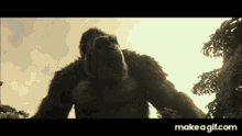 Gv K Kong GIF - Gv K Kong Throw GIFs