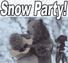 bear playing guitar snow party