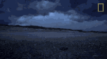 baby sea turtle world turtle day untamed with filipe de andrade sea turtle crawling sea turtle on the beach baby sea turtle world turtle day untamed with filipe de andrade sea turtle crawling sea turtle on the beach