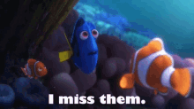 I Miss Them GIF - Finding Dory Dory Nemo GIFs