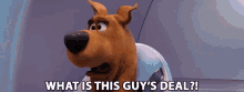 What Is This Guys Deal Scooby GIF - What Is This Guys Deal Scooby Frank Welker GIFs