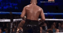 Boxing Fight GIF - Boxing Fight Punch GIFs