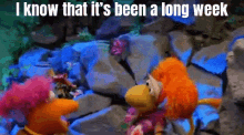 Fraggle Rock Friday GIF - Fraggle Rock Friday Red GIFs