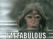 Feelin Fab GIF - Im Fabulous Monkey Fabulous GIFs