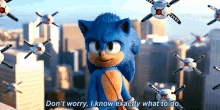 Sonic Dont Worry I Know Exactly What To Do GIF - Sonic Dont Worry I Know Exactly What To Do I Know Exactly What To Do GIFs