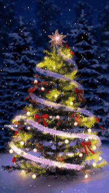 tree merry