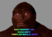 Batuhan Koca Ayak GIF - Batuhan Koca Ayak Bigfoot GIFs