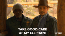Take Good Care My Elephant GIF - Take Good Care My Elephant Take Care GIFs