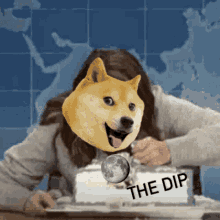 Doge Meme GIF - Doge Meme Coin GIFs