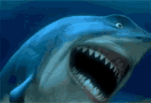 Köpek Balığı GIF - Kopek Baligi Gulmek Kahkaha GIFs