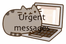 Urgent GIF - Urgent Urgent Message Cat GIFs