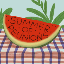 summer of reunions watermelon reunions family reunions family