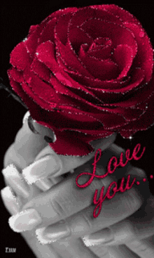 Red Roses For You GIF - Red Roses For You Love You GIFs