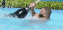 Dj Khaled Pool GIF - Dj Khaled Pool Champagne GIFs