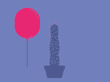 Balloon Cactus GIF - Balloon Cactus Exploding GIFs