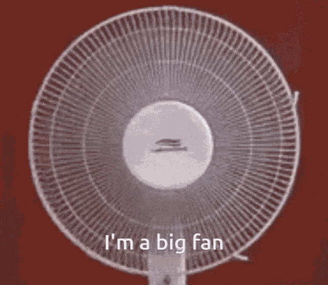 Im A Big Fan Lewi GIF - Im A Big Fan Lewi Lewis GIFs