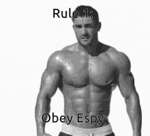 Discord Rules GIF - Discord Rules Espy GIFs