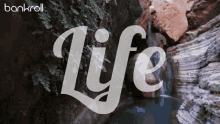 Bankroll Life GIF - Bankroll Life Waterfall GIFs