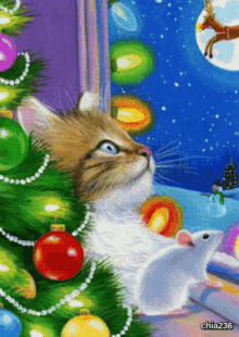 Merry Christmas Eve Cat GIF - Merry Christmas Eve Cat Rat GIFs