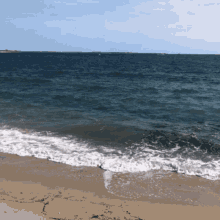 ocean waves beach sandy sound