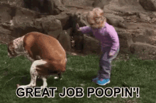 dog great job poop