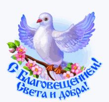 благовещение голубь GIF - благовещение голубь Ninisjgufi GIFs