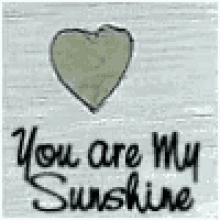 You Are My Sunshine My Love GIF - You Are My Sunshine My Love Sunshine GIFs