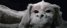 The Neverending Story Wink GIF - The Neverending Story Wink Cute GIFs