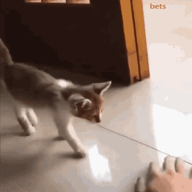 uyumak-tembellik.gif