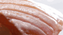 salmon food fish seafood yum