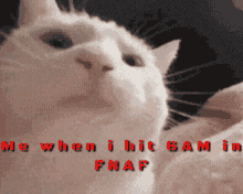 Fnaf Memes Vibing Cat GIF - Fnaf Memes Vibing Cat GIFs