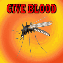 Give Blood Mozzie GIF - Give Blood Mozzie Bug GIFs