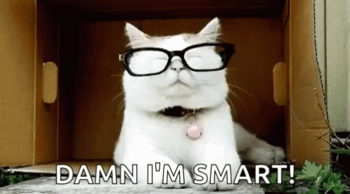 Cats In Glasses Smart Cat GIF - Cats In Glasses Smart Cat Funny Animals GIFs