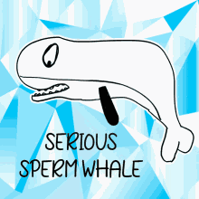 serious sperm whale veefriends earnest committed sincere