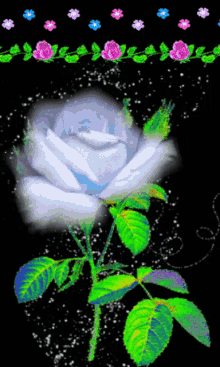 Roses White GIF - Roses White Flowers GIFs