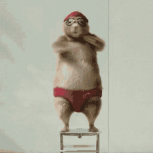 The The Swimmer GIF - The The Swimmer Dance GIFs