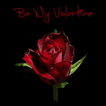 Be My Valentine Valentines Day GIF - Be My Valentine Valentine Valentines Day GIFs