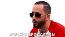 reggaeton veguilla