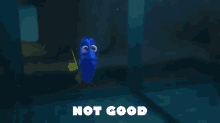 Not Good GIF - Finding Dory Dory Not Good GIFs