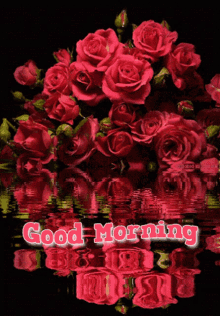 Good Morning Roses GIF - Good Morning Roses Red Roses GIFs