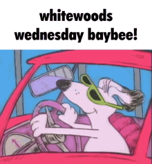 Whitewoods Wednesday GIF - Whitewoods Wednesday Whitewoods Wednesday GIFs
