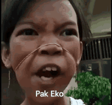 Pak Eko GIF - Karet Usaha Anak Kecil GIFs